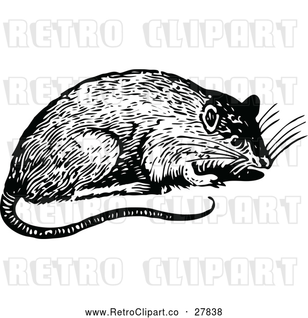 Vector Clip Art of Retro Rat