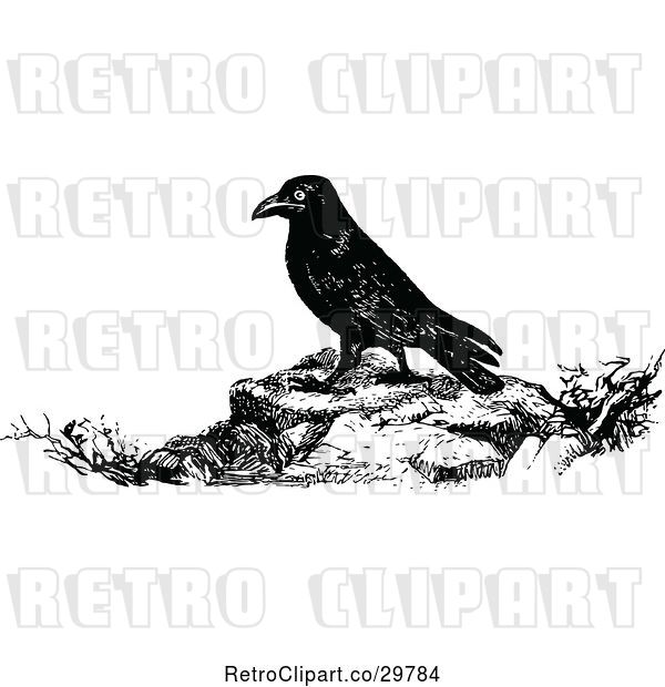 Vector Clip Art of Retro Raven
