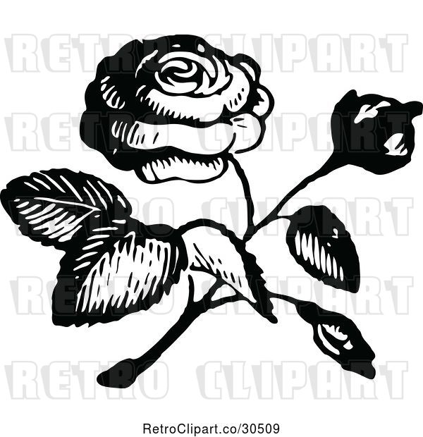 Vector Clip Art of Retro Rose 2