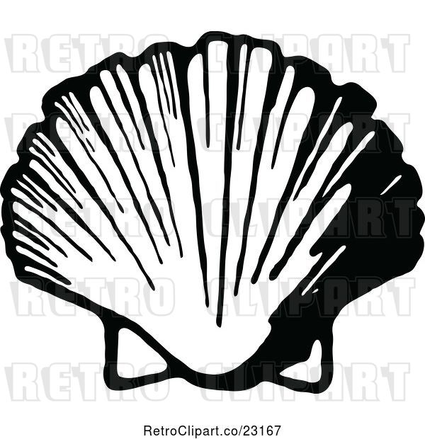 Vector Clip Art of Retro Scallop Shell