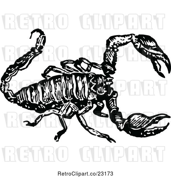 Vector Clip Art of Retro Scorpion 2