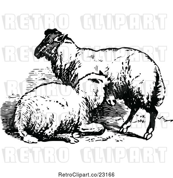 Vector Clip Art of Retro Sheep Pair