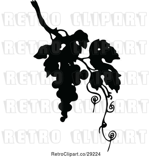 Vector Clip Art of Retro Silhouetted Grapes and Vine