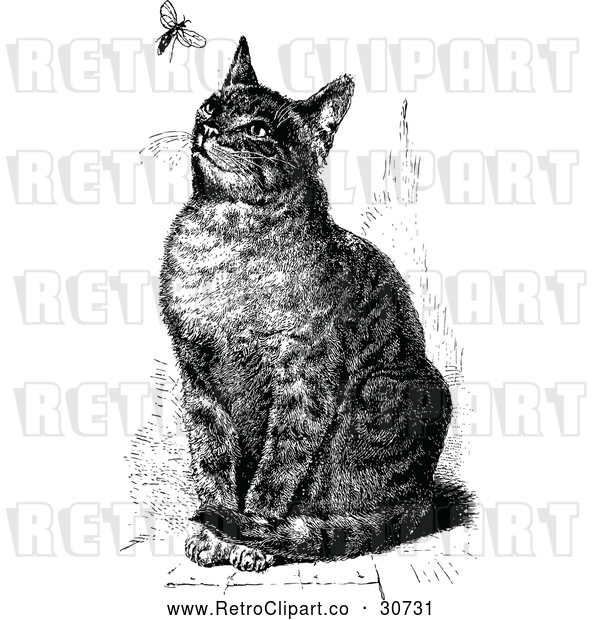 Vector Clip Art of Retro Sitting Cat Watching a Fly