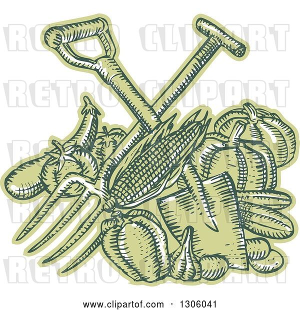 Vector Clip Art of Retro Sketched or Engraved Crossed Spade and Pitchfork over Green Harvest Produce