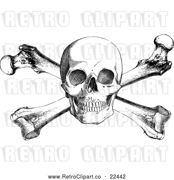 Vector Clip Art of Retro Skull and Cross Bones