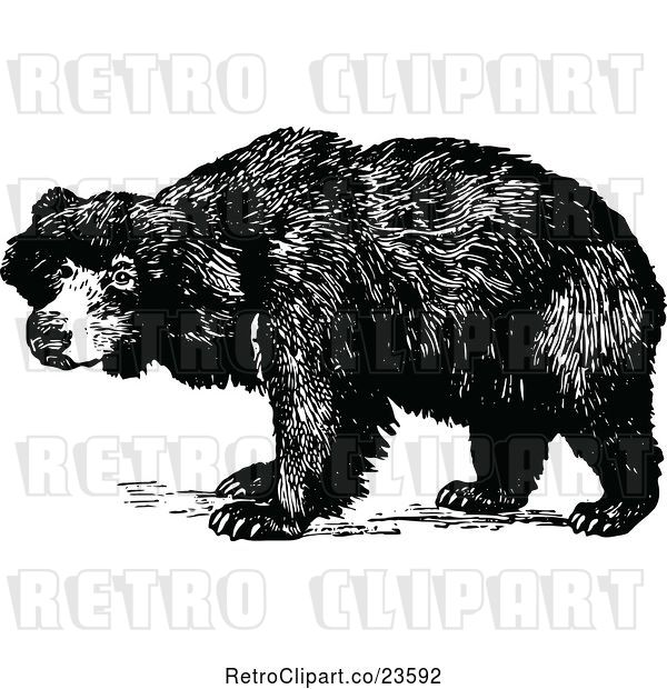 Vector Clip Art of Retro Sloth Bear
