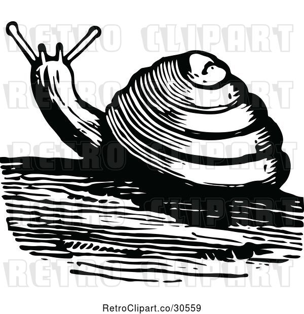 Vector Clip Art of Retro Snail