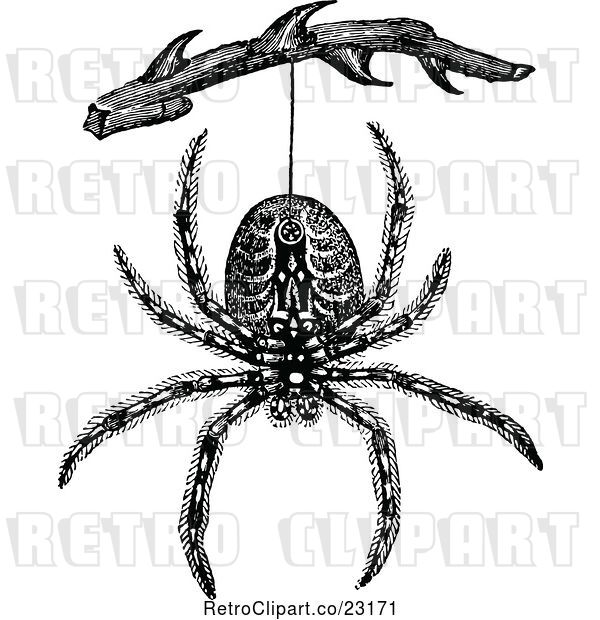 Vector Clip Art of Retro Spider Hanging from a Branch