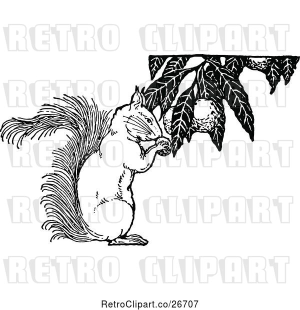 Vector Clip Art of Retro Squirrel Gathering Food