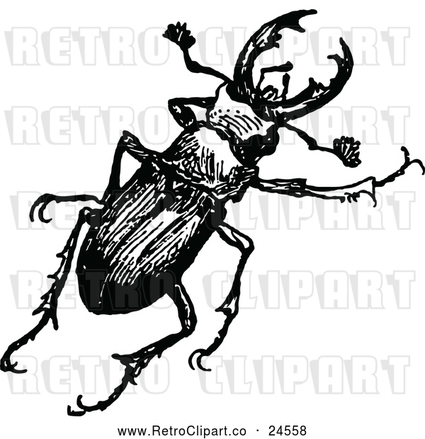 Vector Clip Art of Retro Stag Beetle