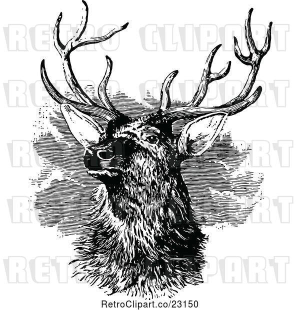 Vector Clip Art of Retro Stag Buck Deer with Antlers 3