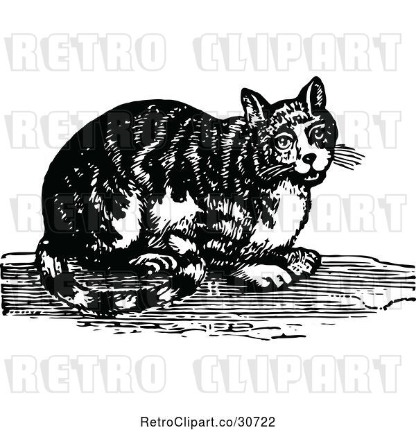 Vector Clip Art of Retro Tabby Cat
