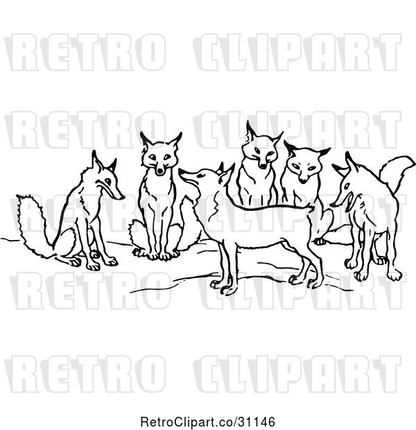 Vector Clip Art of Retro Tailless Fox and Group