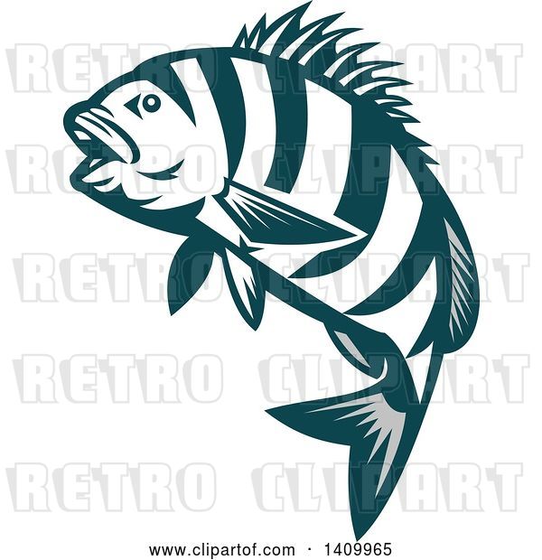 Vector Clip Art of Retro Teal and White Jumping Sheepshead Fish