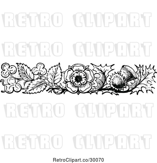 Vector Clip Art of Retro Thistle Clover and Flower Border