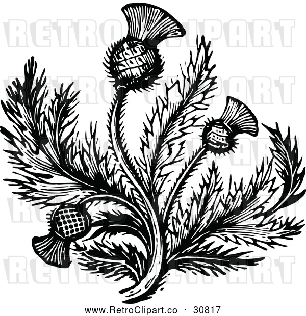 Vector Clip Art of Retro Thistle Flower 2