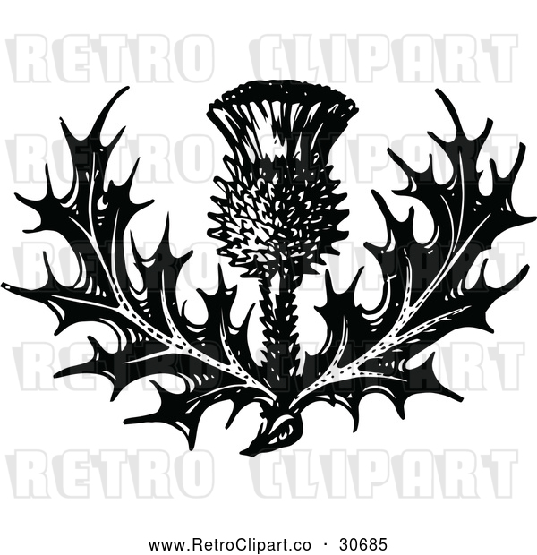 Vector Clip Art of Retro Thistle Flower