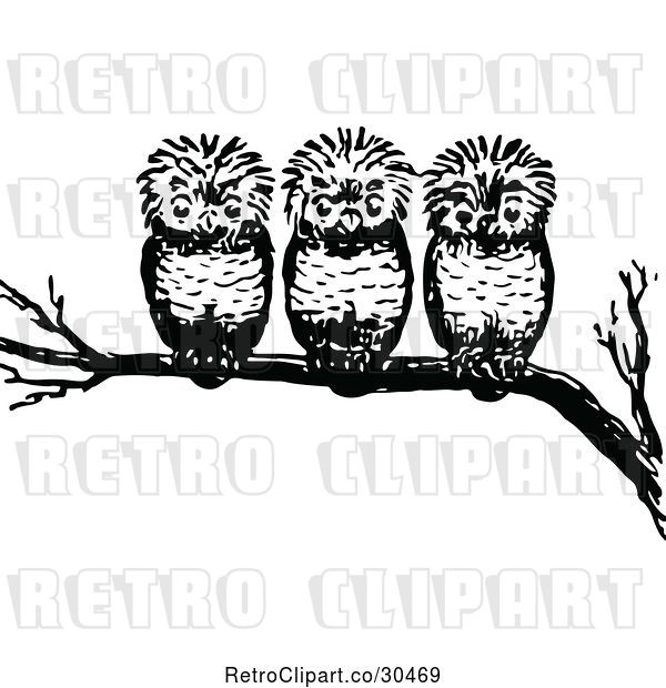 Vector Clip Art of Retro Three Owls on a Branch