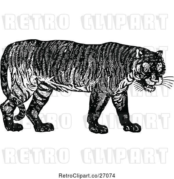 Vector Clip Art of Retro Tiger