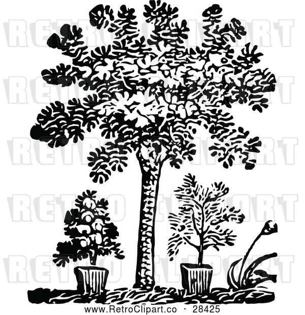 Vector Clip Art of Retro Tree and Potted Plants