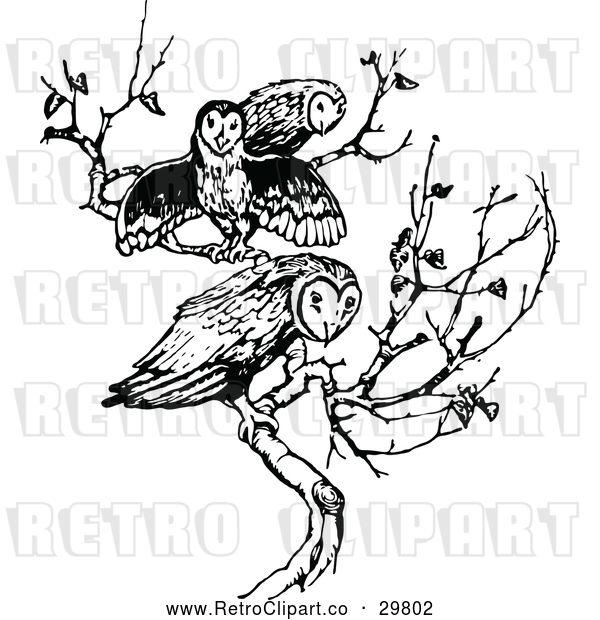 Vector Clip Art of Retro Trio of Owls on a Branch