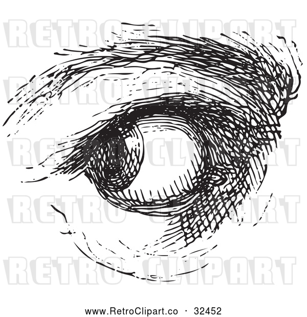Vector Clip Art of Retro Watchful Eye in Black and White