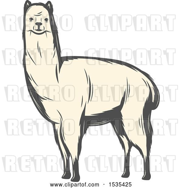 Vector Clip Art of Retro White Llama, in Style