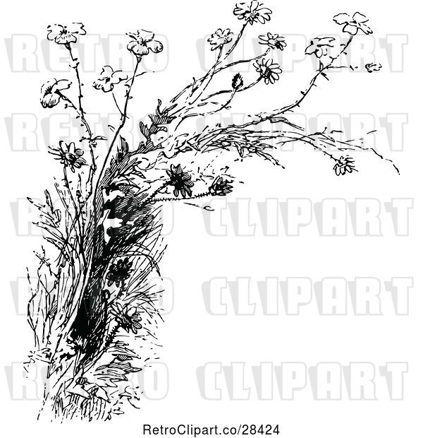 Vector Clip Art of Retro Wildflowers