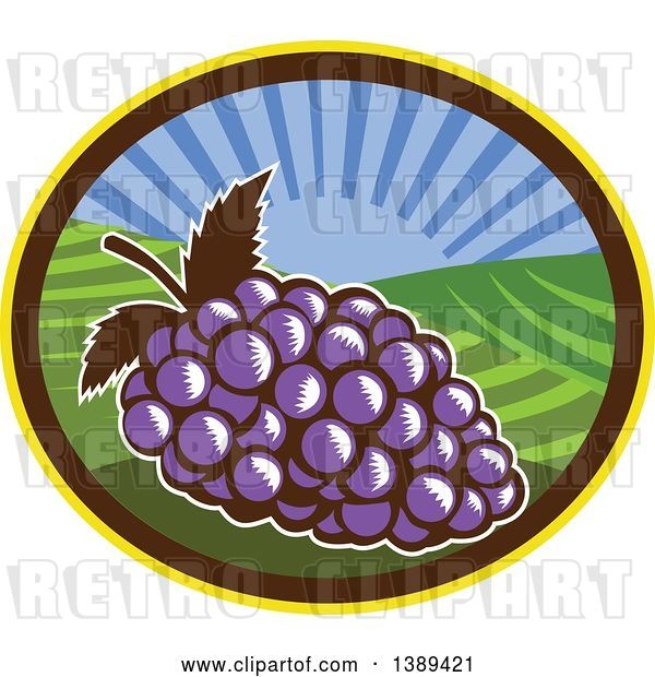 Vector Clip Art of Retro Woodcut Bunch of Purple Grapes in an Oval with a Sunrise or Sunset