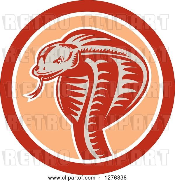 Vector Clip Art of Retro Woodcut Cobra Snake in an Orange and White Circle