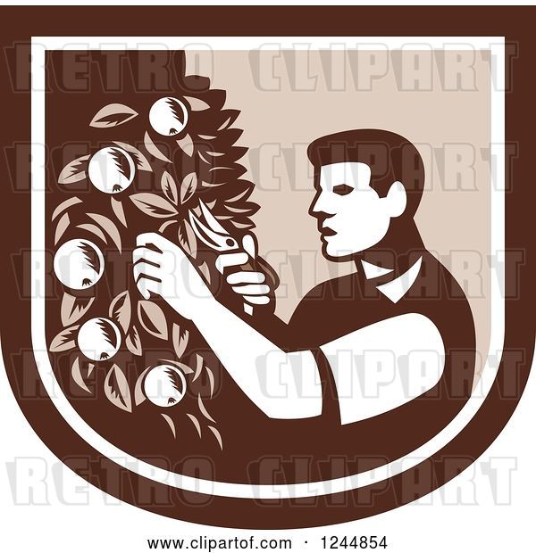 Vector Clip Art of Retro Woodcut Farmer Pruning Apple Trees in a Shield
