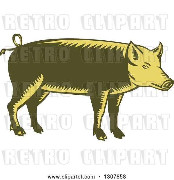 Vector Clip Art of Retro Woodcut Green and Yellow Pig in Profile