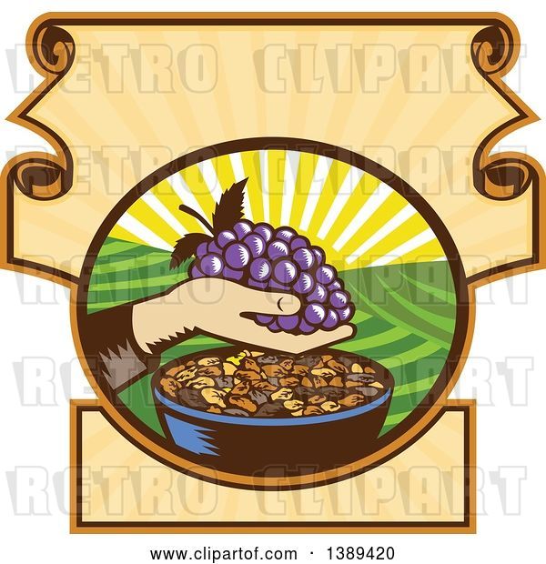 Vector Clip Art of Retro Woodcut Hand Holding a Bunch of Purple Grapes over a Bowl of Raisins in a Scroll Crest with a Sunrise or Sunset