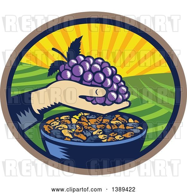 Vector Clip Art of Retro Woodcut Hand Holding a Bunch of Purple Grapes over a Bowl of Raisins in an Oval with a Sunrise or Sunset