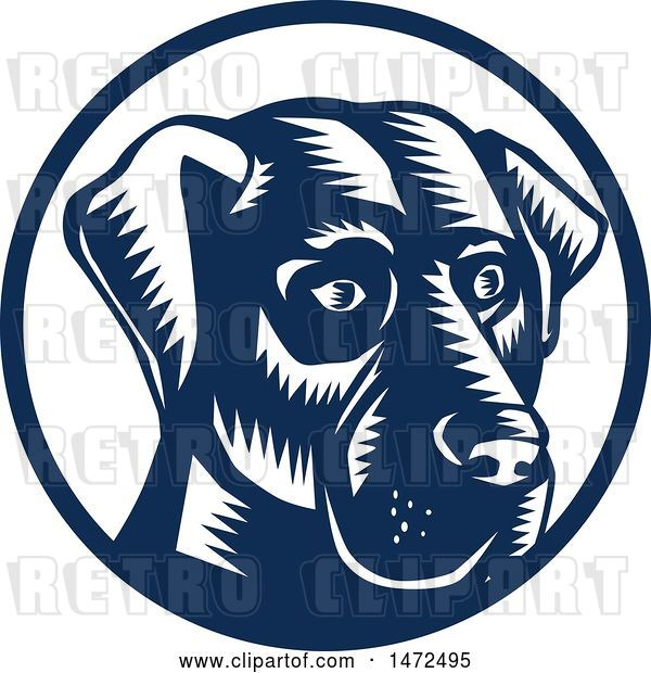 Vector Clip Art of Retro Woodcut Labrador Retriever Dog Face in a Navy Blue and White Circle