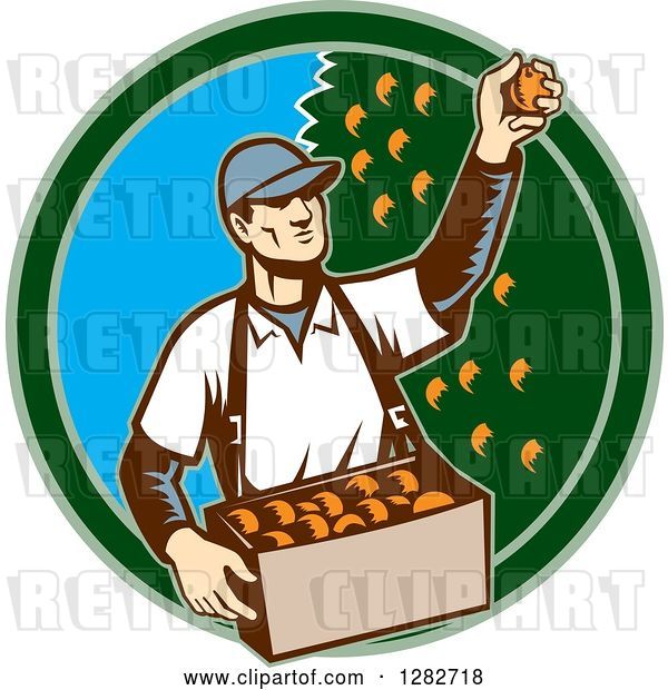 Vector Clip Art of Retro Woodcut Male Fruit Picker Harvesting Oranges in a Green and Blue Circle
