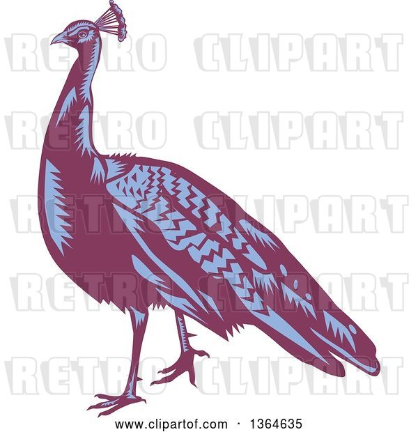 Vector Clip Art of Retro Woodcut Purple and Blue Peacock Bird