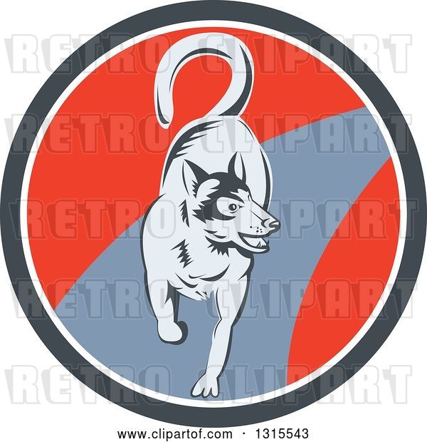 Vector Clip Art of Retro Woodcut Siberian Husky Dog Running in a Gray White and Red Circle