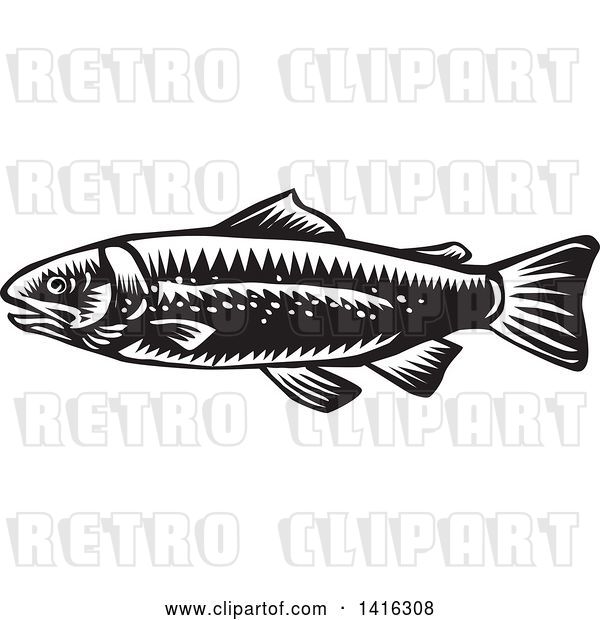 Vector Clip Art of Retro Woodcut Spotted Trout Fish