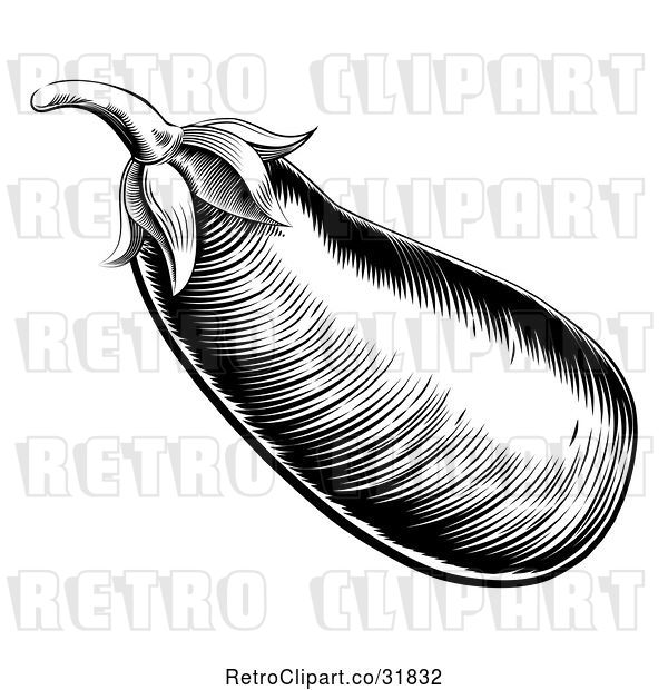 Vector Clip Art of Retro Woodcut Styled Aubergine Eggplant in