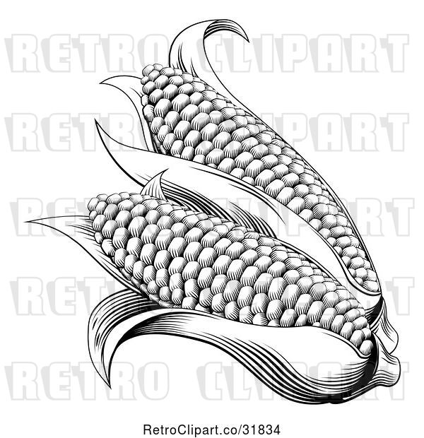 Vector Clip Art of Retro Woodcut Styled Ears of Corn in