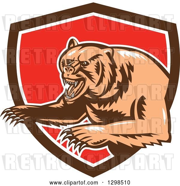 Vector Clip Art of Retro Woodcut Vicious Grizzly Bear Emerging from a Brown White and Red Shield