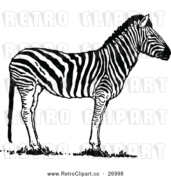 Vector Clip Art of Retro Zebra