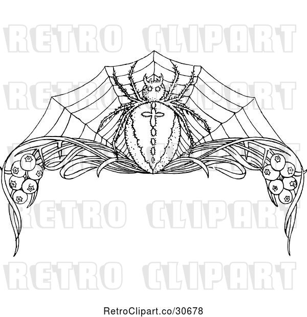 Vector Clip Art of Spider and Floral Page Border