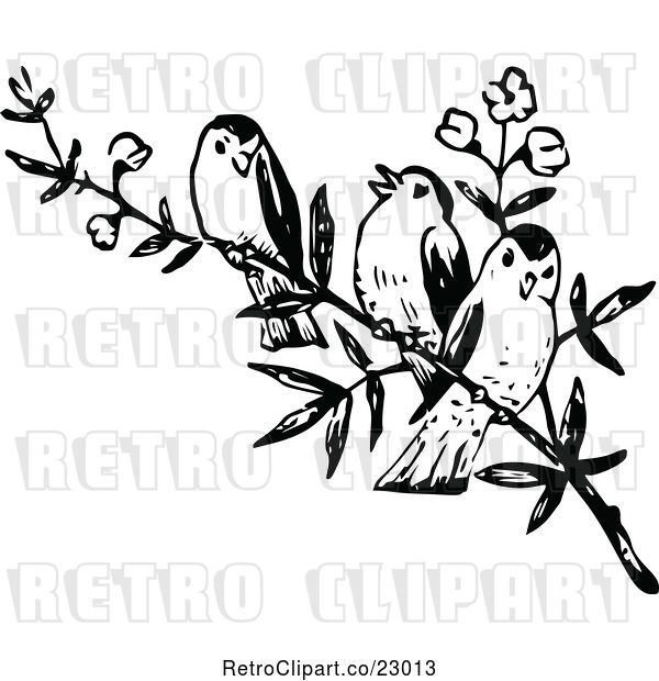 Vector Clip Art of Three Birds on a Branch