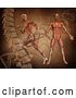 Clip Art of Retro 3d Medical Anatomical Men with Visible Muscles, Standing and Running over a DNA Background by KJ Pargeter