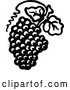 Clipart of a Retro Grapes with Leaves by Prawny Vintage