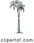 Clipart of Retro Palm Trees by Prawny Vintage