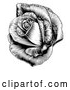 Vector Clip Art of a Retro Black Blooming Rose by AtStockIllustration
